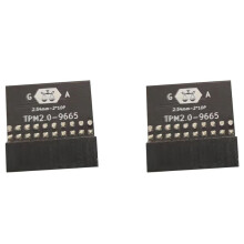 2X LPC 20Pin Protection Module for TPM-L R2.0/Gigabyte GC-TPM2.0 Compatible Trust Platform Module 20-Pin 20-1 L2P7
