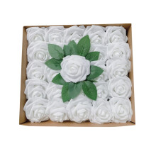 Schaumrosen, Champagnerrosa, 25er-Packung