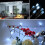 Solar-Lichterkette, 100 LEDs, 8 Modi, mehrfarbig, 12 m 4