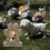 Pietra commemorativa in resina per cani e gatti 4