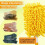 6-Pack Reusable Microfiber Duster Refills for Hand/Extendable/Ceiling Fan Dusters, Machine Washable 100+ Times, Compatible with Hand Dusters 3