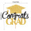 Graduation Cake Toppers Paper Decorations 12pcs 3