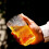 Gletscher-Muster Glasbecher, hochtransparent, 355 ml 2