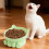 Ceramic cat bowl sweet color 1 piece 5