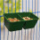 Mangeoire en plastique à double compartiment, lot de 2, verte 3