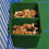 Mangeoire en plastique à double compartiment, lot de 2, verte 4