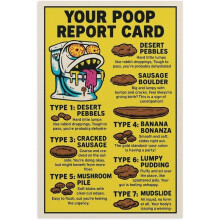 Affiche humoristique pour les toilettes – Tableau des selles de Bristol