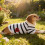 Pet Cat Summer Clothes Lightweight Soft Breathable Striped 5