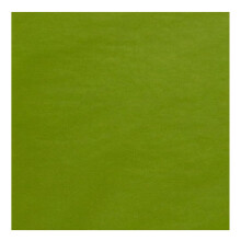 Carta velina opaca Aloe Premium 20x30 pollici 480 fogli