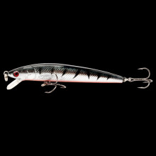 2PC Durable 10cm/8.5g Minnow Lures, 10 Colors, Compatible with Bass, Trout, Pike, Snook, Salmon, Redfish