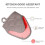 Oven Microwave Gloves Heat Resistant Thick Kitchen Mitts 4