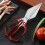 Ciseaux de cuisine en acier inoxydable rouge 23,5 x 10,5 cm 6