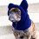 Gorro com capuz para cães em lã coral, com protetor de orelhas ajustável e quentinho. 1