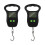 2Stk Digitale Angler- Reisewaage Mit LCD-Display 1