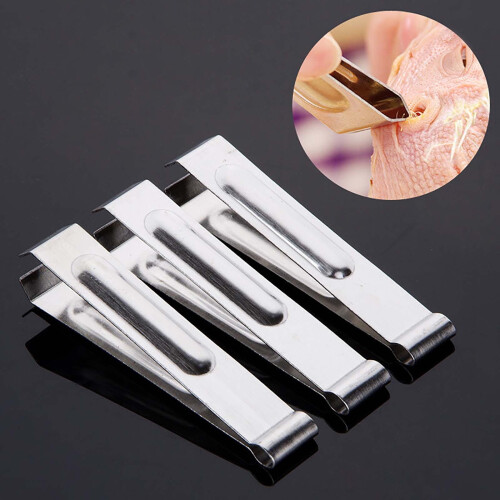 Stainless Steel Fish Tweezers with Beveled Tip 2