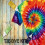 Tie-Dye Kit18Colors with Storage Box and Accessories 3