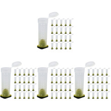 160Pièces Cages À Plastique Transparent Pour Sécurisé