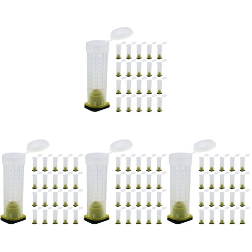160Pièces Cages À Plastique Transparent Pour Sécurisé
