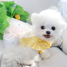 Vestito da principessa per cani con guinzaglio e fibbia, tessuto morbido e traspirante per l’estate, taglia S, giallo