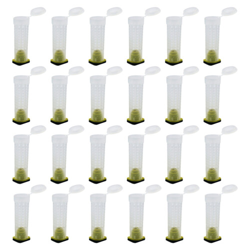 160Pièces Cages À Plastique Transparent Pour Sécurisé 1