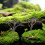 10Pcs Coffee Wire Miniature Tree Stems for Model Train Landscape 7