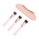 Silicone Makeup Brush Holder Set with 3 Solid Wood Brushes, Portable Dustproof 15