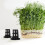 100Pcs Plastic Net Cups for Hydroponics Planting Black Garden Pots 9