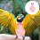 4Pièces Couches Réutilisables Oiseaux Rose Costume Vol Perroquet 10
