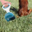 Ramasse Crottes Portable Vert Durable Usage Extérieur 3