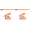 2Ensembles Modèles Dentaires Multicolores Kit Éducatif Brosse 1