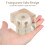 3Pièces Cubes Accessoires Décoratifs Maison Bureau Colorés 8