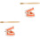 2Ensembles Modèles Dentaires Multicolores Kit Éducatif Brosse 2