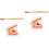 2Ensembles Modèles Dentaires Multicolores Kit Éducatif Brosse 3