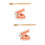 2Ensembles Modèles Dentaires Multicolores Kit Éducatif Brosse 6