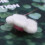 2Pièces Boules En Laine Feutrée Blanches DIY Décoration Épingle 11