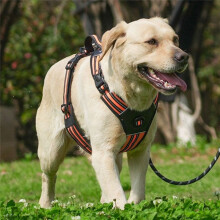Duomm Hundegeschirr für Große Hunderassen - Verstellbar, Bequeme Passform für Pitbull, Schäferhund, XL