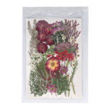 Kit de 100 fleurs pressées sèches colorées 19 x 27 cm