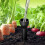 3pcs Root Waterer Adjustable Tree Root Irrigator Deep Drip Irrigation Stakes Root Irrigation Spike Gardening Tool 4