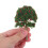 10Pièces Arbres Miniatures Pomme Décor Réaliste 4