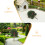10Pièces Arbres Miniatures Pomme Décor Réaliste 8
