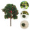 10Pièces Arbres Miniatures Pomme Décor Réaliste 11