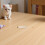 2Pièces Flacons Bois Pour Collection Souvenir Poils De Chats 3