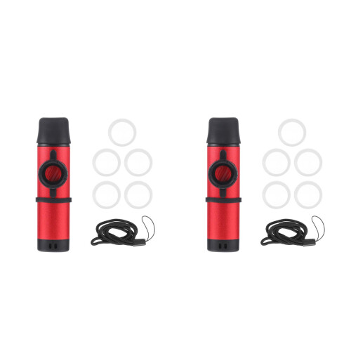 2Ensembles Petit Kazoo Musical Facile Pour Âges