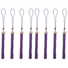 8St Kwasten Afstuderen Paars Rood Praktisch En Decoratief Gift