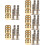 20Pièces Olive , Accessoire Fiable 9