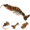 2Pcs Plastic Shrimp Toy Realistic Kids Plaything Decor 9