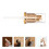 2Pièces Spray Canard Airless Pour Fond De 11