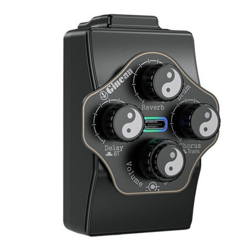 Ginean UF-03C Pickup per Chitarra Acustica con Risonanza, Effetto Riverbero, Chorus e Delay Integrato, Supporto per Microfono