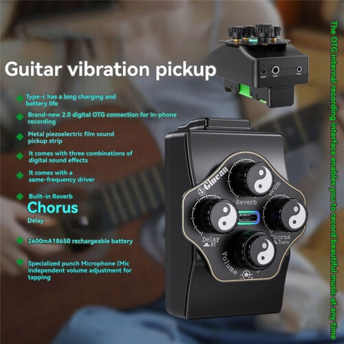 Ginean UF-03C Pickup per Chitarra Acustica con Risonanza, Effetto Riverbero, Chorus e Delay Integrato, Supporto per Microfono 1