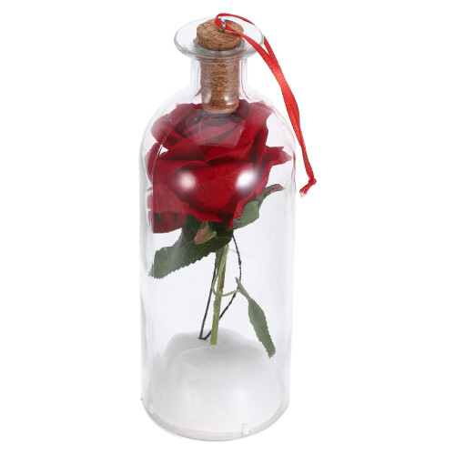 Bewaarde in Glazen , Decoratie En Liefdesgeschenk